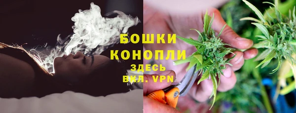 не бодяженный Аркадак