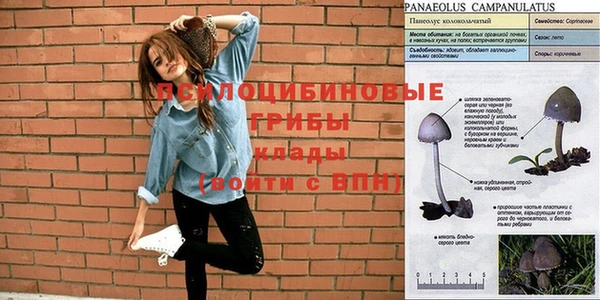 не бодяженный Аркадак