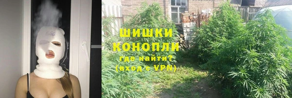 соль ск Арсеньев