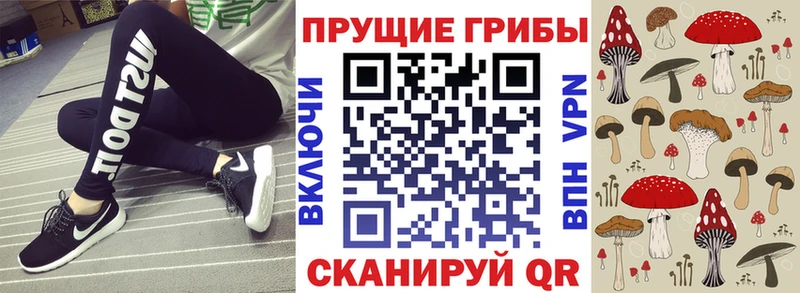 Галлюциногенные грибы Cubensis  Купить закладки  Невьянск 
